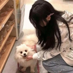 果盘版手游星河舰队下载